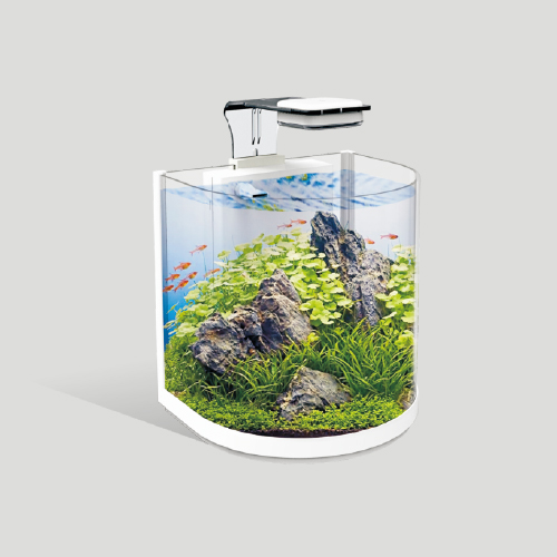 BGT SEMICIRCLE SET TANK